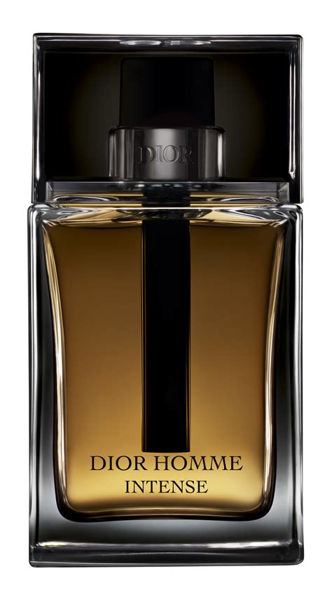 dior homme parfum punmiris